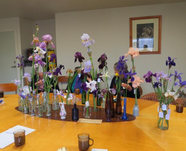 A display of irises at the South Canterbury Iris Group’s meeting in Fairlie. PHOTO: SUPPLIED

