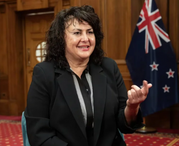 Associate Health Minister Casey Costello Photo: NZ Herald