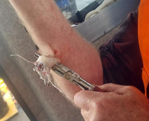 With the fishing bait still attached, Bob Mathieson attempts to push the barb and bend of his...