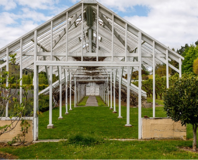The framework of the 1880s glasshouse was renovated so the couple could get married in it. Photo:...