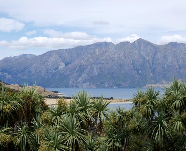 Rākaihautū stopped to name the lake Hāwea, a name that continues to be passed down through family...