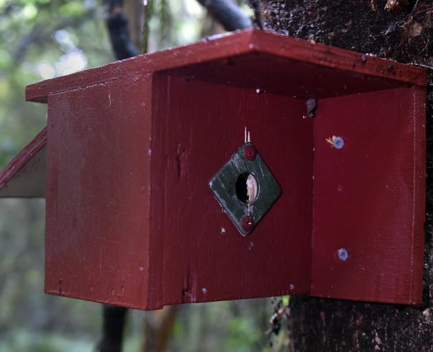 A washer protects the birds’ way into the box. PHOTO: PETER MCINTOSH