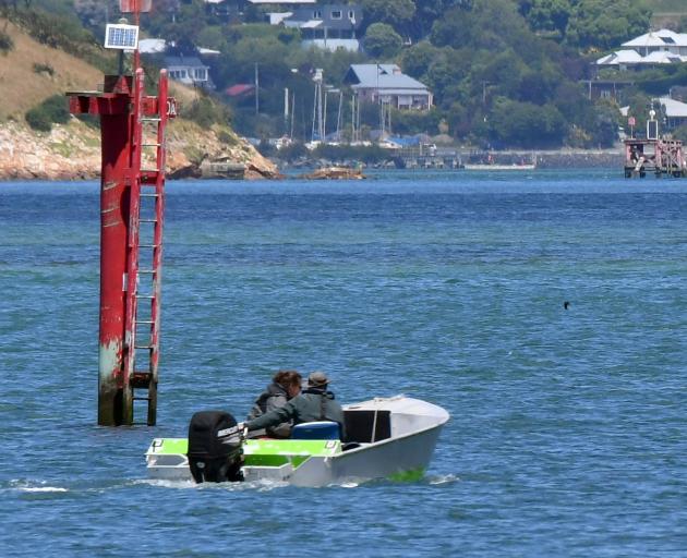 A small boat sails out for a glimpse of an orca calf.
