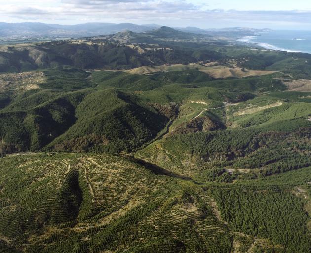 The proposed Smooth Hill site looking north towards Dunedin. PHOTO: STEPHEN JAQUIERY
