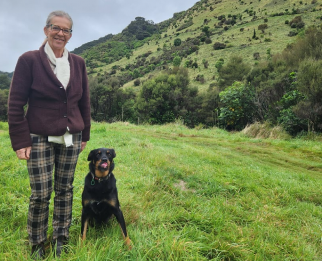 Former Wellington mayor Celia Wade-Brown is set to enter Parliament after the resignation of...