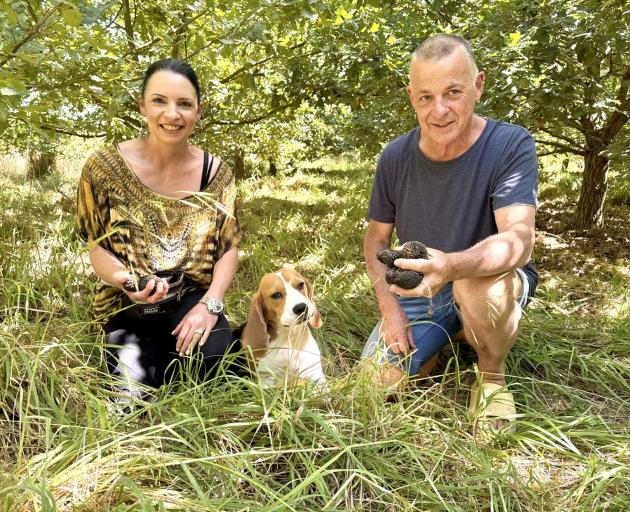 Jane and Robert Grice grow oaks for their truffiere on an arable farm at Pendarves.