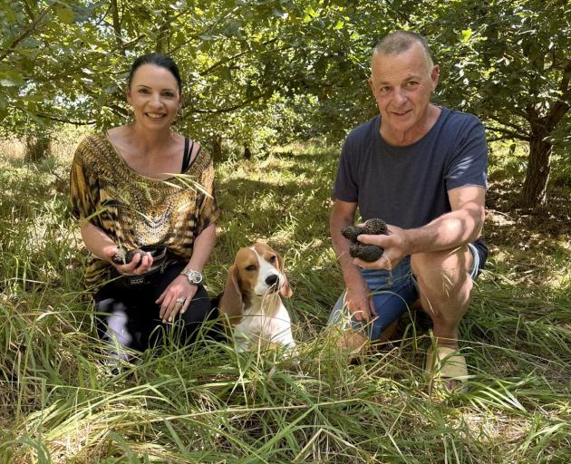 Robert and Jane Grice with Ivy the beagle. Photo: Supplied via Ashburton Courier