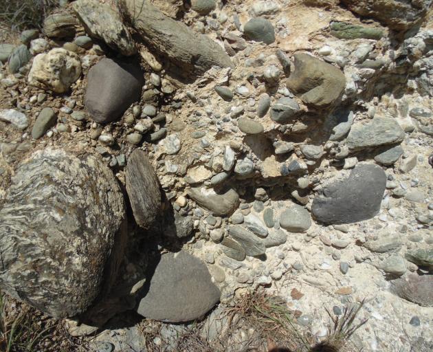 Wanaka-Hawea volcanic basanites are found all the way down the Clutha River. These ‘‘pretty non...