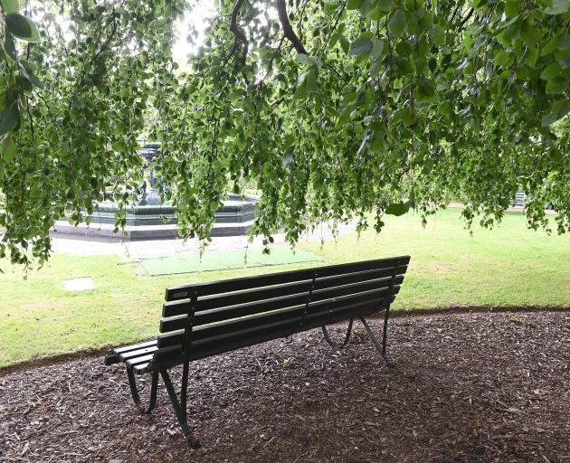 A weeping beech, Fagus sylvatica Pendula, provides a shady place to sit relax on a hot day at the...