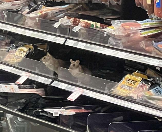 Woolworths New Zealand confirmed this photo of a rat, reflected in a mirror in the deli section,...