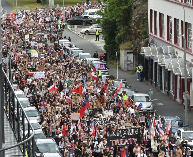 Some of the 1500 protesters march toward the Octagon.