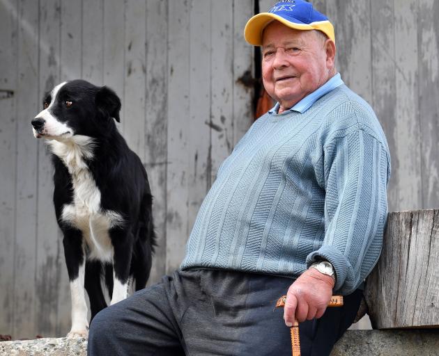Oamaru dog triallist Angus Ferguson and his  dog Floss have achieved some success on the circuit...