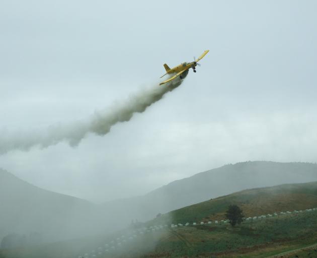 A plane spreads fertiliser. Photo: ODT files 