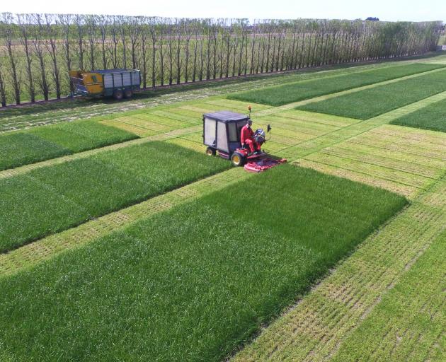 The New Zealand Plant Breeders Research Association runs independently audited cultivar testing...