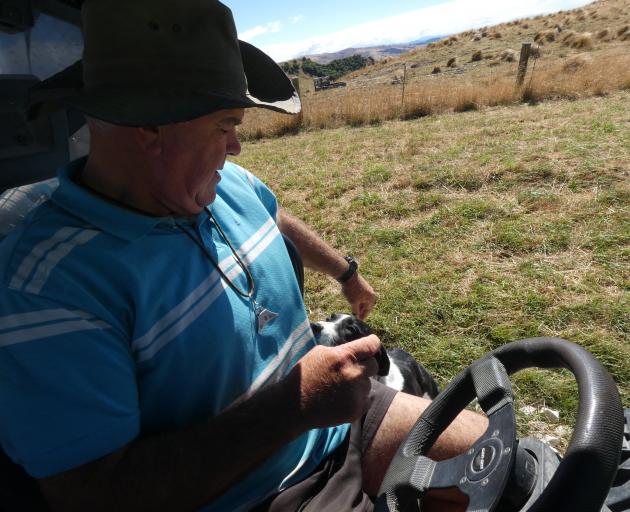 New Zealand dog trialling team captain Neil Evans runs a team of heading dogs and huntaways for...
