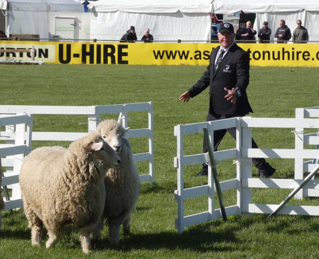 New Zealand captain Neil Evans with Tess at the two-test transtasman sheep dog trial series in...