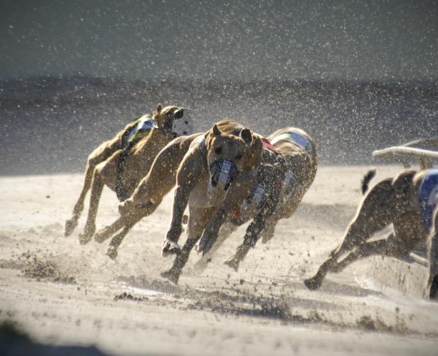 File photo: Getty Images
