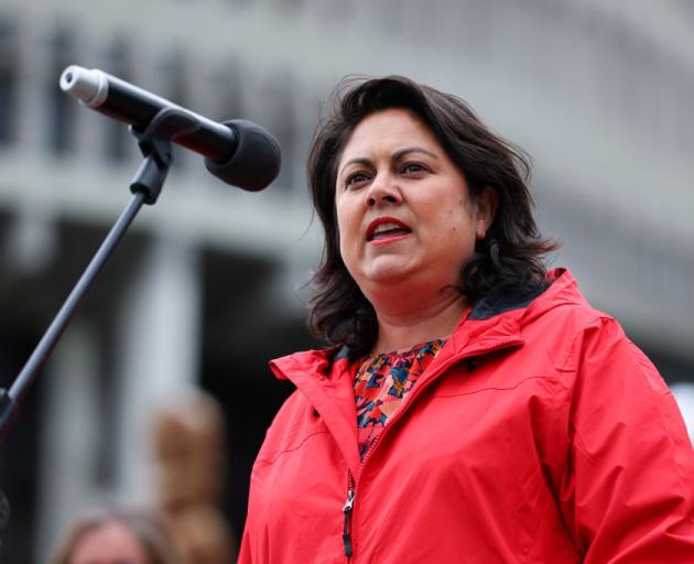 Labour health spokeswoman Ayesha Verrall. Photo: Getty Images