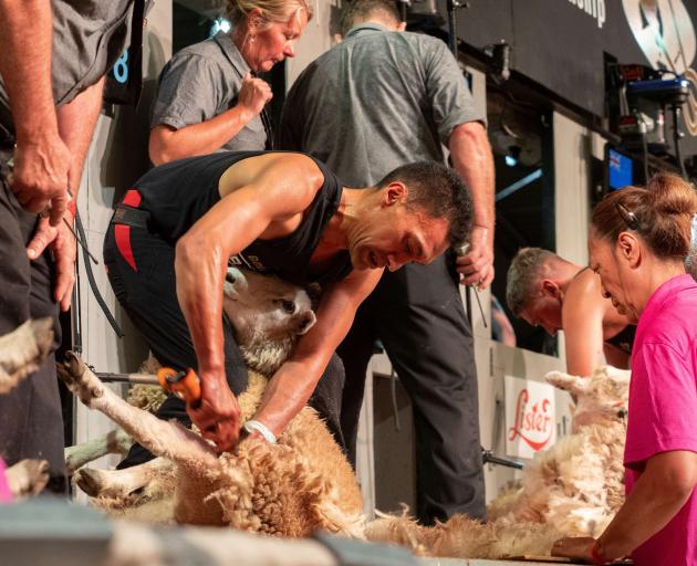 Leon Samuels shears a sheep on his way to winning the Golden Shears in Masterton at the weekend....