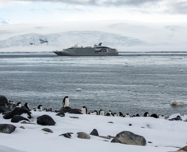 The 'Le Soleal' cruise ship docked in Antarctica, with some penguins in the foreground. PHOTO:...
