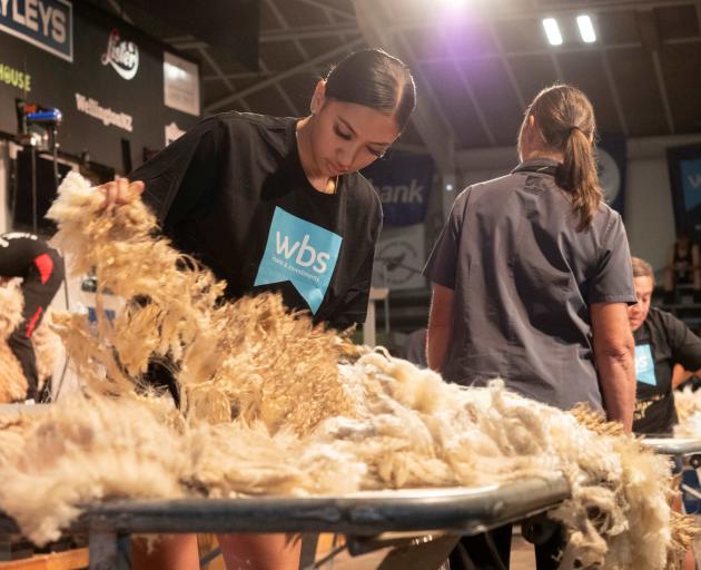 Woolhandler Lucy Elers, of Mataura, inspects a fleece as she advances to win the Golden Shears...
