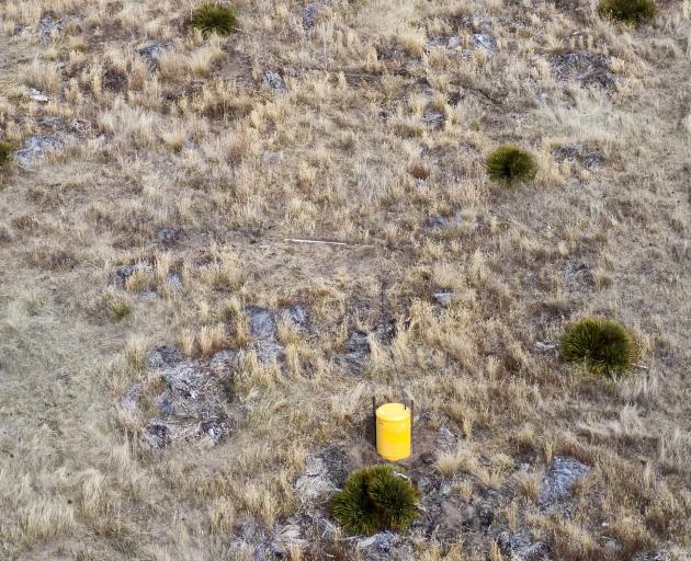 A rain catcher in a high country block where animals graze on The Point Station near Tarras....