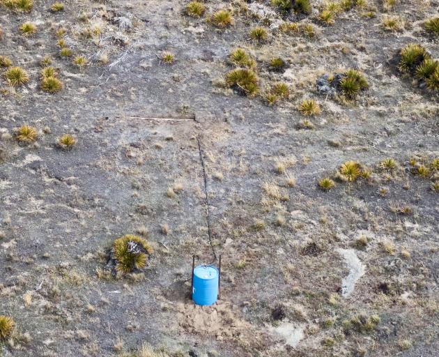 A rain catcher in a high country block dominated by flat weed hieracium on The Point Station near...