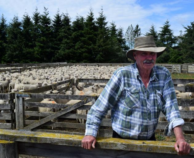 Mt Stalker Station stock manager Ray Smith is keen to see the back of store lambs so feed can be...