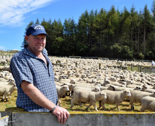 Sheep and mixed cropping farmer Tim Ludemann looks for lambs at the annual Mt Stalker Station...