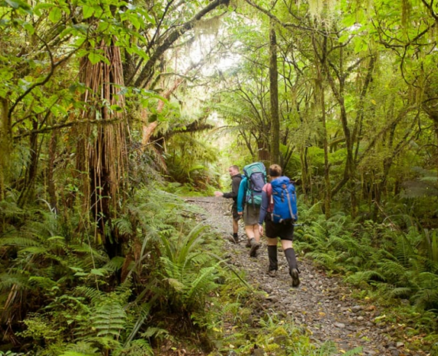 Photo: Supplied / DoC / Graham Dainty