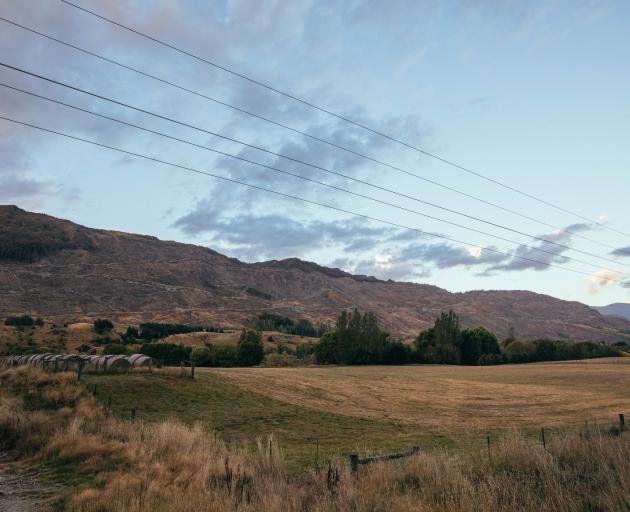 The site of the former Coronet Forest. PHOTO: SUPPLIED