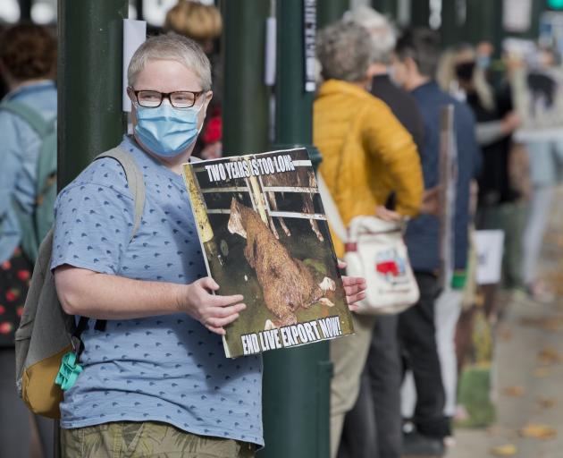 Anne Barkman protests against live animal exports, in the Octagon. PHOTO: GERARD O’BRIEN