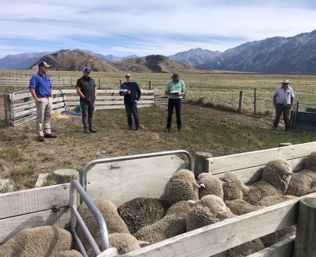 Glenaan Station got its hands on an elusive win in the Canterbury Merino Association’s Two Tooth...