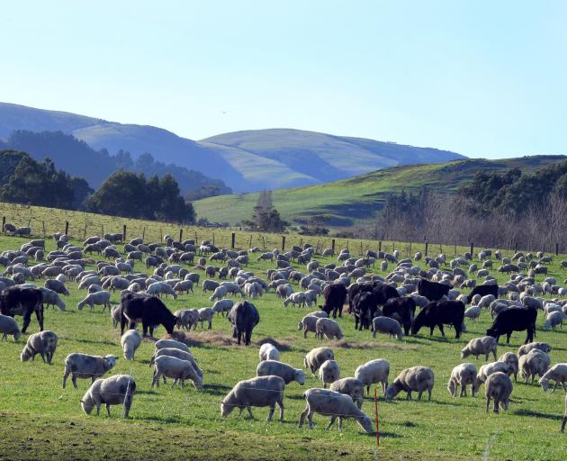 A bid by Beef + Lamb New Zealand to increase its directors fees has been rejected by farmers....