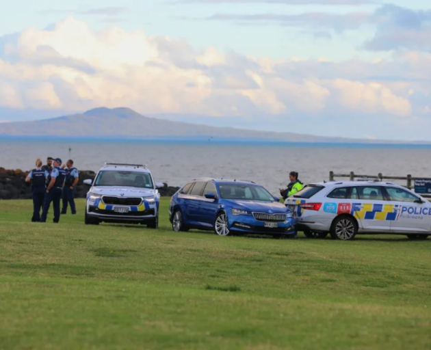 Police at Gulf Harbour. Photo: RNZ