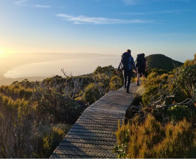 The Hump Ridge Track near Tuatapere, in Fiordland, is one of the Great Walks. Photo: RNZ