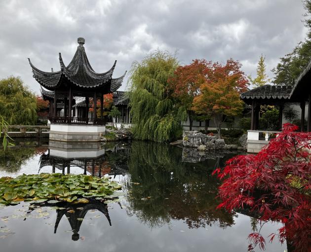 Lan Yuan Dunedin Chinese Gardens. Vibrant Autumn display on a grey sky day.