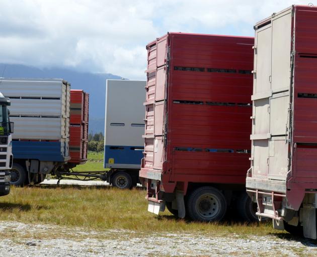 The government has closed a pathway for migrant truck drivers to gain residency. PHOTO: STEPHEN...
