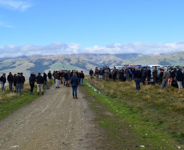 About 85 people attended a Beef + Lamb New Zealand field day on Glenaray Station in Northern...