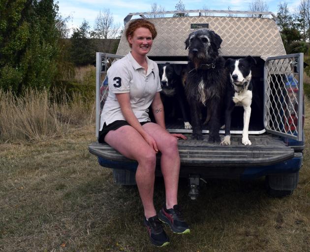 Waihemo Collie Club secretary Jazz Drummond, with Lloyd Smith’s dogs Code, Jackson and Guide, has...