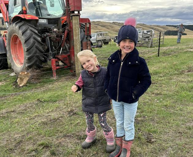Jess Cameron, 3, of Hyde, and Greta Wilson, 5, of Middlemarch, pitch in.