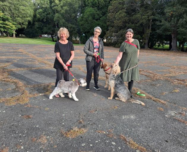 Standing in a potential future dog park in Milton are (from left) Lynda Allen with Walter,...