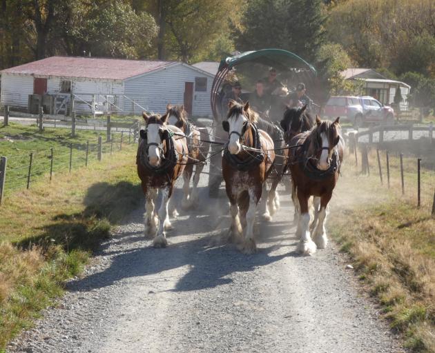 Farmers attending the Federated Farmers high country field day were treated to a Clydesdale...