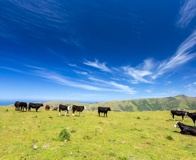 The National Animal Identification and Tracing (NAIT) programme helps MPI respond quickly to a...