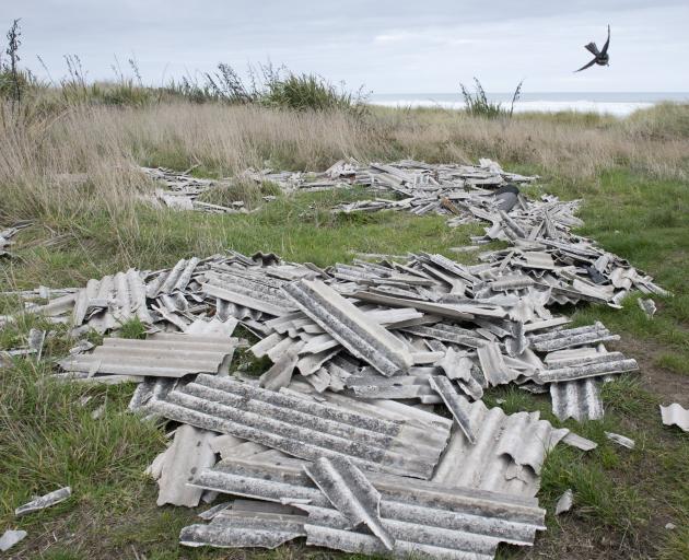 A fantail flits above a pile of hazardous demolition debris dumped at a layby in Brighton Rd,...
