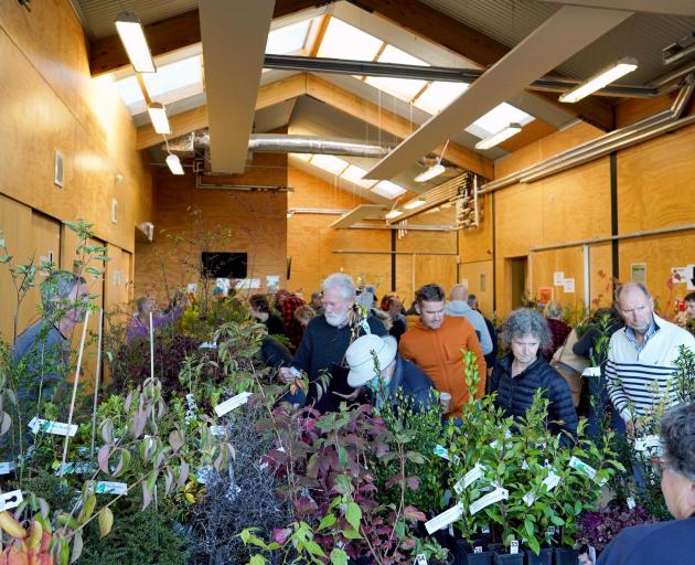 Local gardeners know to get in quick to snap up the bargains at the annual Friends of the Dunedin...