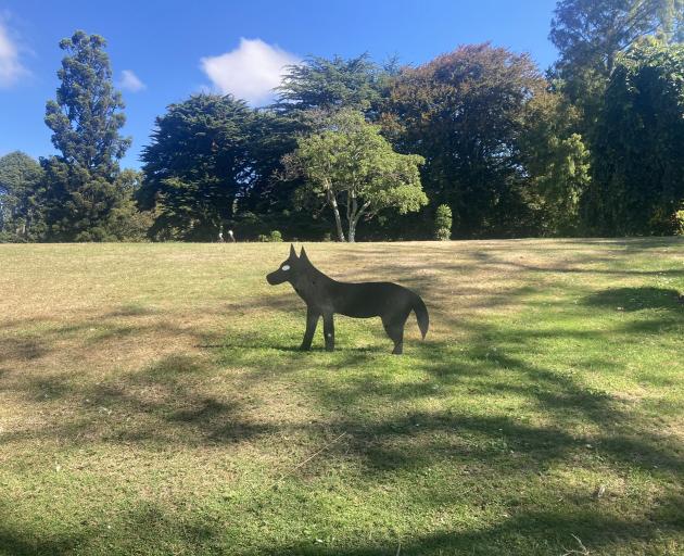 Photo: Christchurch Botanic Gardens
