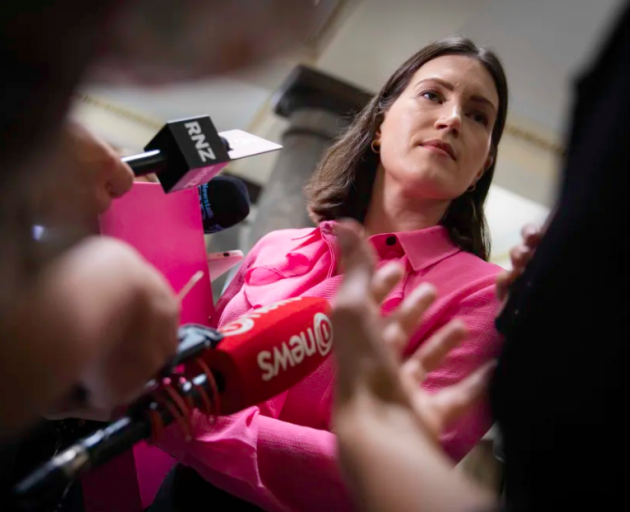 Workplace Relations and Safety Minister Brooke van Velden Photo: RNZ