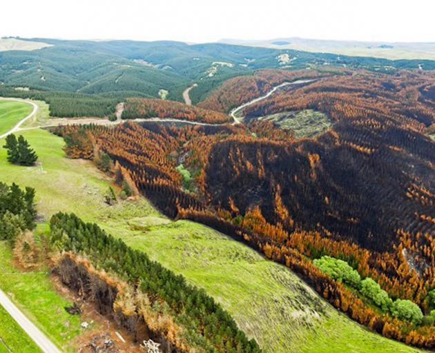 The fire in the rural area around Livingstone in October 2020 burnt through hundreds of hectares...