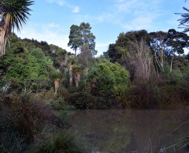 One of the ponds created to control stormwater.